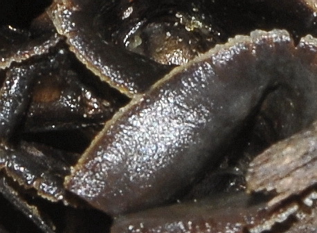 Quiz del  fine settimana.......